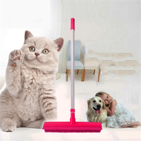 FURemover Broom with Squeegee