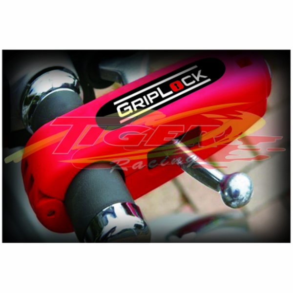 Motorcycle and Scooter Security Lock