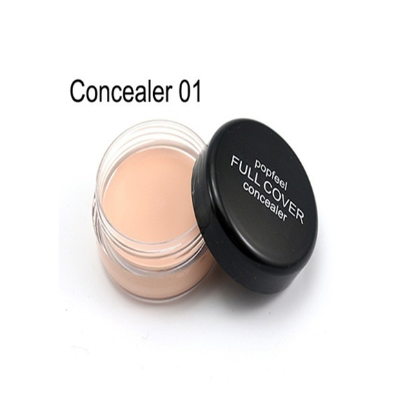 High Definition Waterproof Nature Full Cover Concealer Foundation