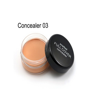 High Definition Waterproof Nature Full Cover Concealer Foundation