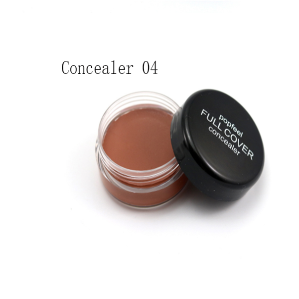 High Definition Waterproof Nature Full Cover Concealer Foundation