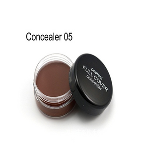 High Definition Waterproof Nature Full Cover Concealer Foundation