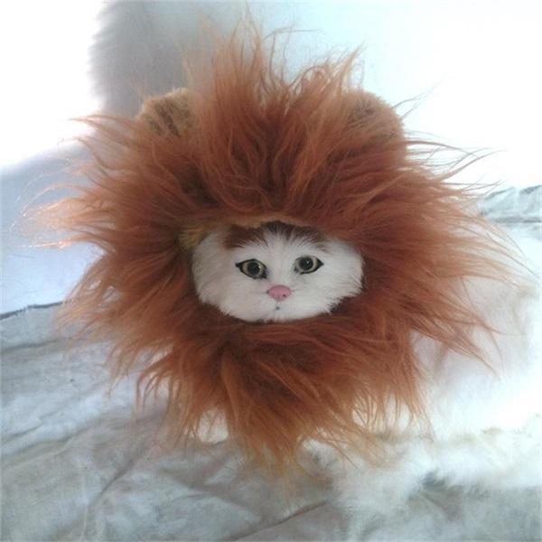 Funny Pet Lion Wig