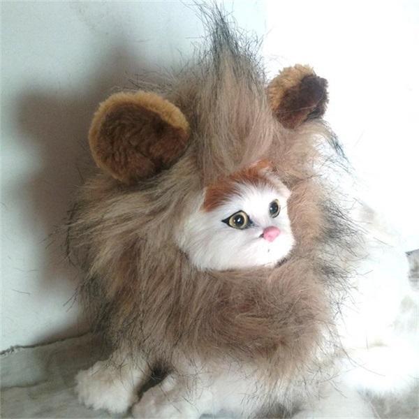 Funny Pet Lion Wig