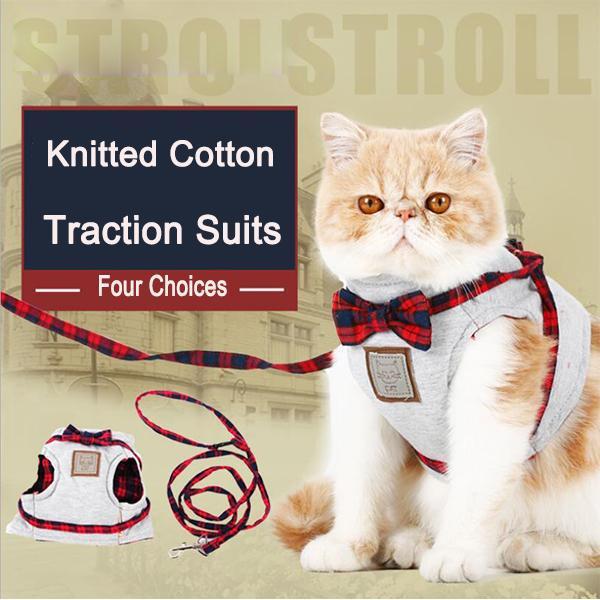 Cat Braces Traction Rope