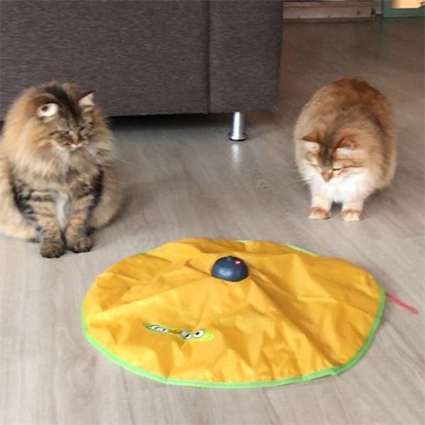 Electronic Cat Toy