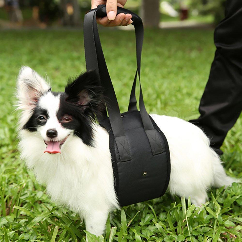 Dog Lift Support Harness