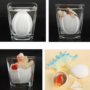 6pcs Magic Dinosaur Egg-Baby Toys-Prime4Choice.com-Prime4Choice.com