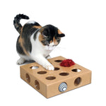 Cat Catching Toy