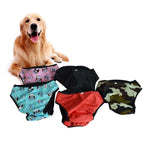 Pet Dog Underwear