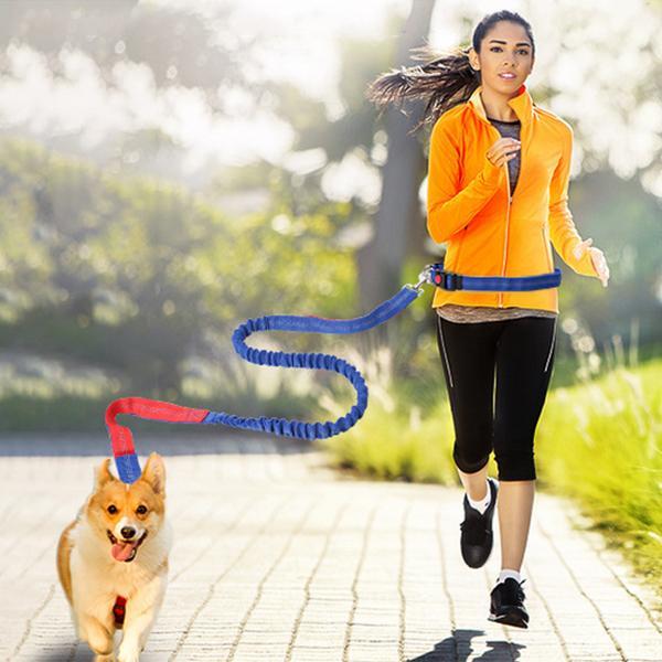 Nylon Running Pet Dog Leash