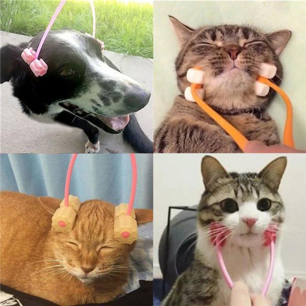 Cat Massage Roller Relaxer face massager for Kitty Pet toy