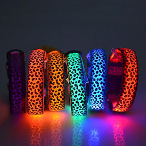 LED Dog Collar