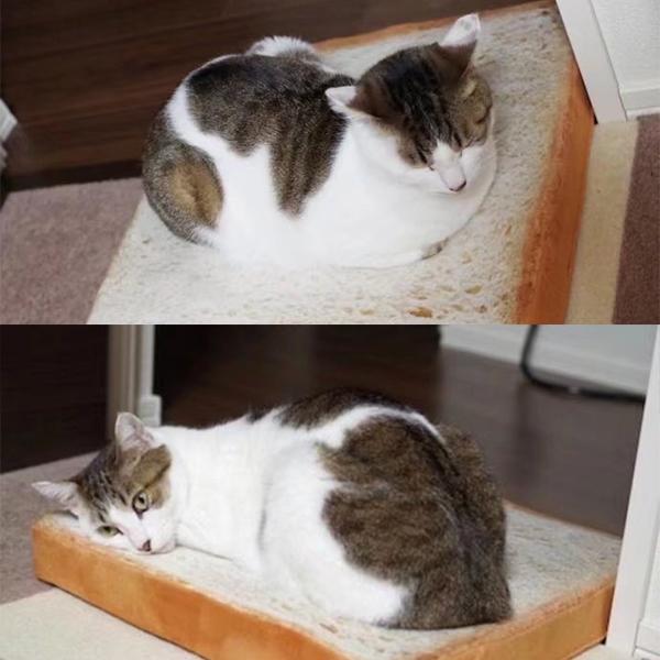 Simulated Toast Sliced Pet Cushion
