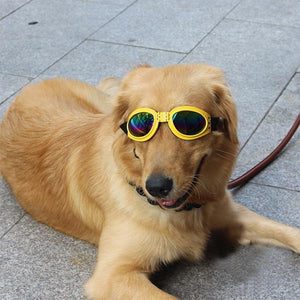 Dog Protective Sunglasses