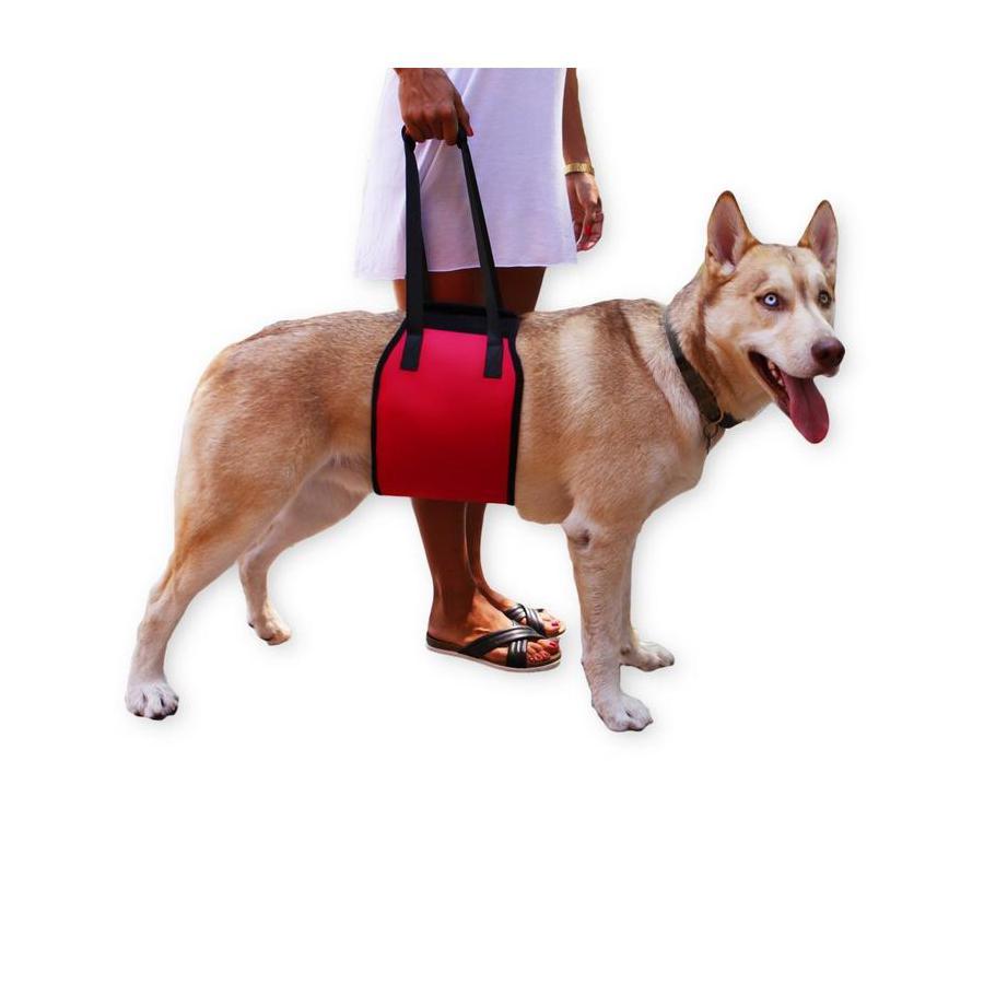 Dog Lift Support Harness