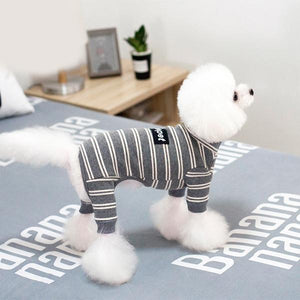 Striped Dog Winter Clothes