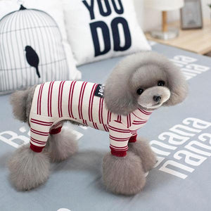 Striped Dog Winter Clothes