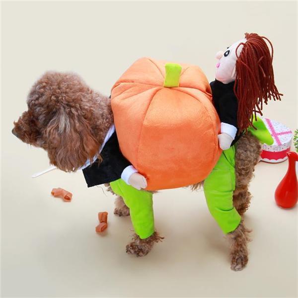Pet Dog Cat Carrying Pumpkin Halloween Party Fancy Costume Jacket Apparel