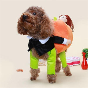 Pet Dog Cat Carrying Pumpkin Halloween Party Fancy Costume Jacket Apparel