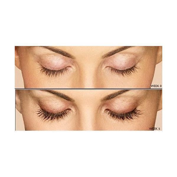 Eyelashes Enhancer Serum 100% Original-Beauty & Fashion-Beautyholic1.com-BeautyHolic1.com