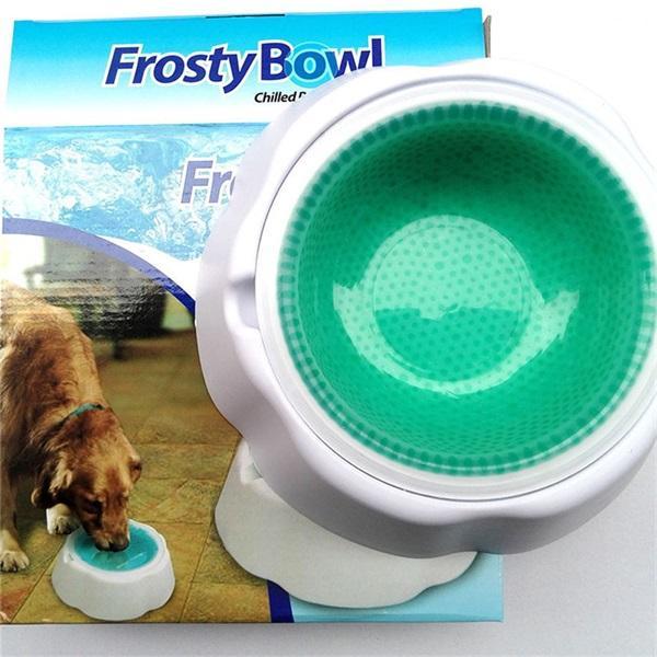 Pet Dog Food Frosty Bowl