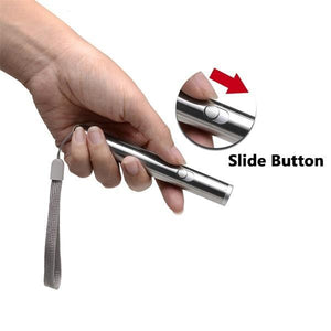 Interactive Cat Teaser Wand for Training and Exercise
