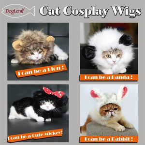 Pet Cat Wig