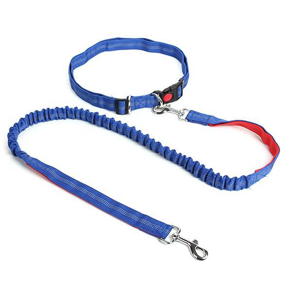 Nylon Running Pet Dog Leash