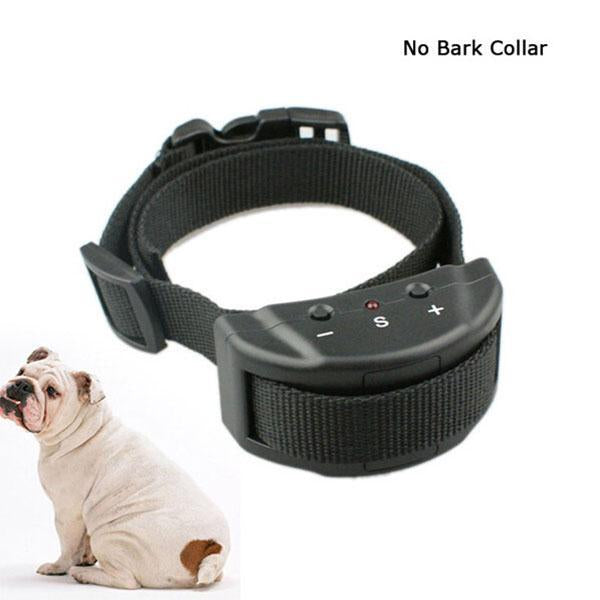 No Bark Collar