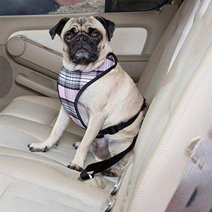 Pet Dog Cat Car Seat Belt