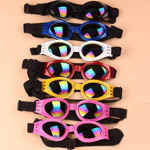 Dog Protective Sunglasses