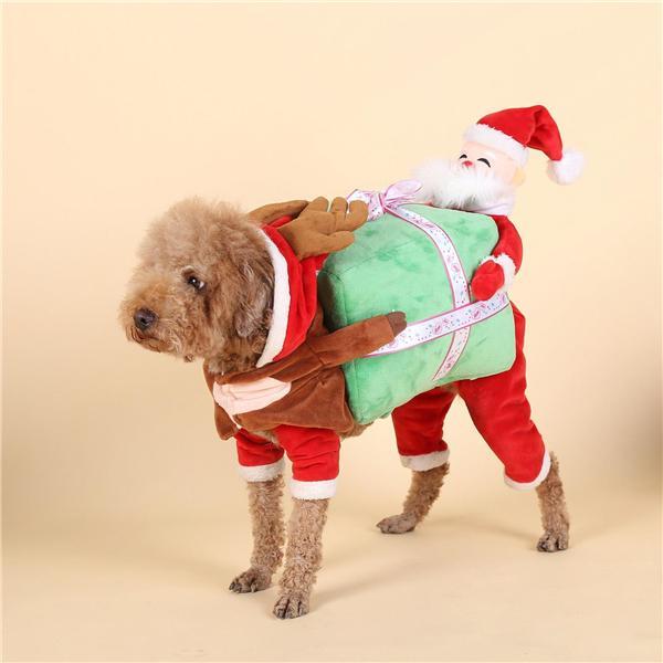 Pet Dog Cat Carrying Pumpkin Halloween Party Fancy Costume Jacket Apparel