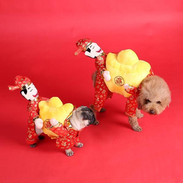 Pet Dog Cat Carrying Pumpkin Halloween Party Fancy Costume Jacket Apparel