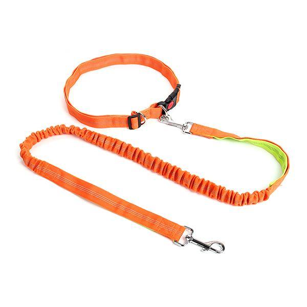 Nylon Running Pet Dog Leash