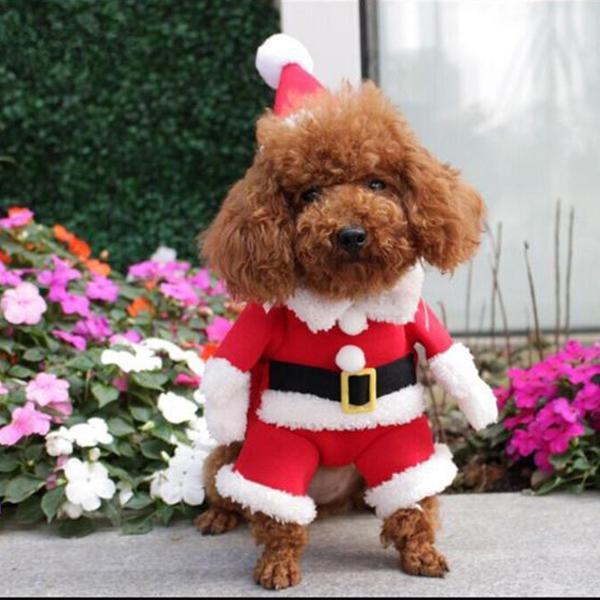 Pet Dog Christmas Costumes?