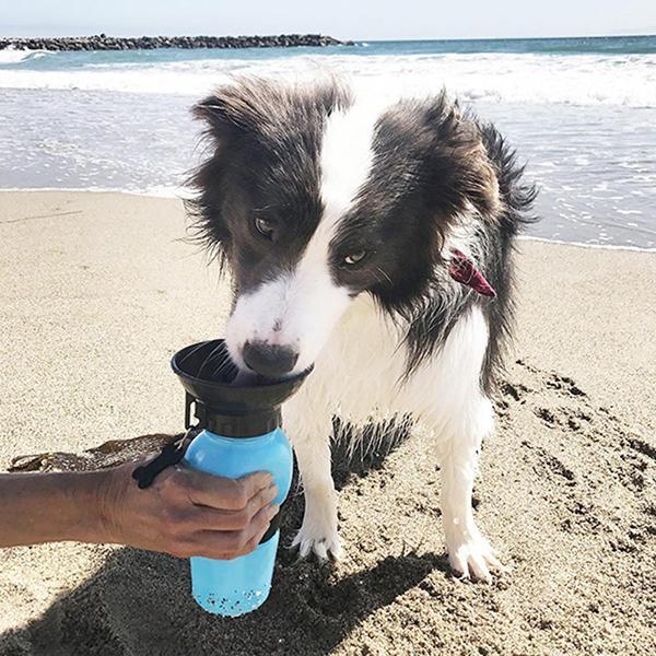 Pet Dog Drinking Water Mug