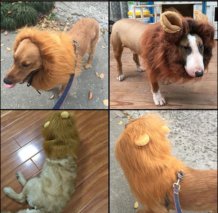 Pet Dog Lion Wig