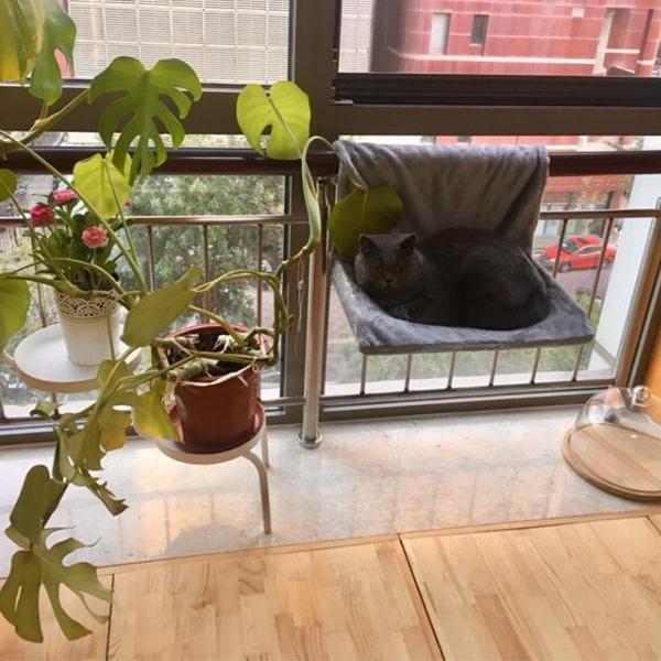 Steel Frame Structure Cat hammocks