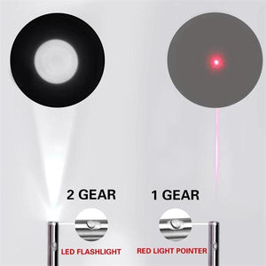 Interactive Cat Teaser Wand for Training and Exercise