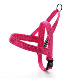 Quick Fit Adjustable Dog Harness