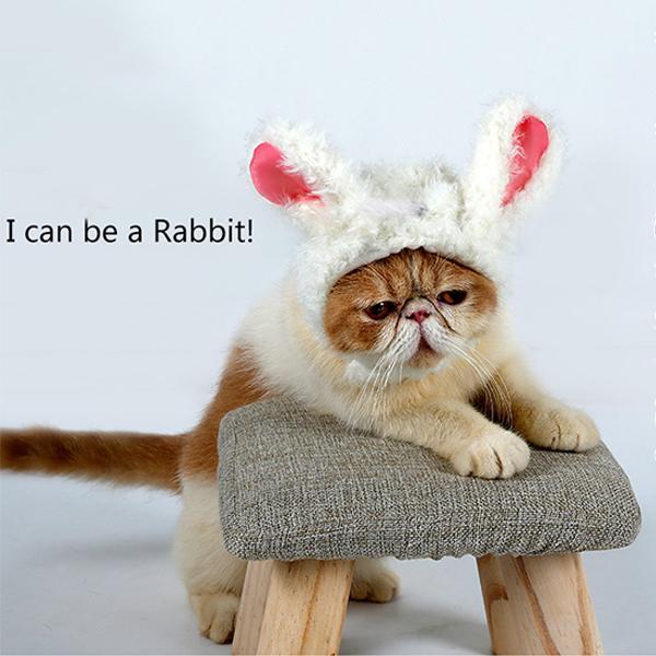 Pet Cat Wig