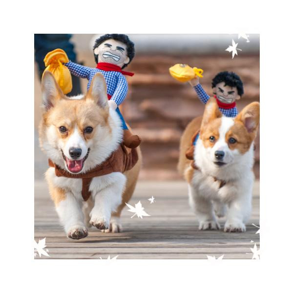 Cowboy Rider Dog Costume-Pets-2UBEST.COM-