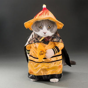 Pet Costume Halloween Transfiguration Clothes