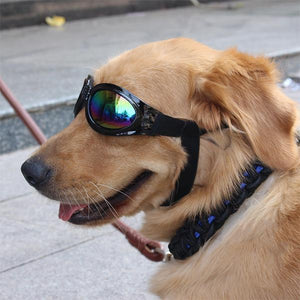 Dog Protective Sunglasses