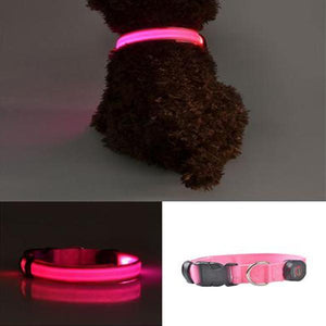 LED Glowing Dog Collar