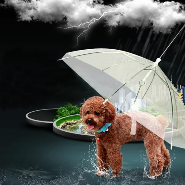 Pet Dog Umbrella Raincoat?With Leash?