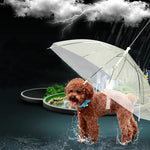 Pet Dog Umbrella Raincoat?With Leash?