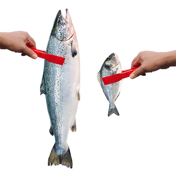 Multifunctional Fish Clip