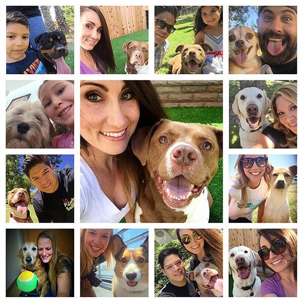 Dog Selfie Toy